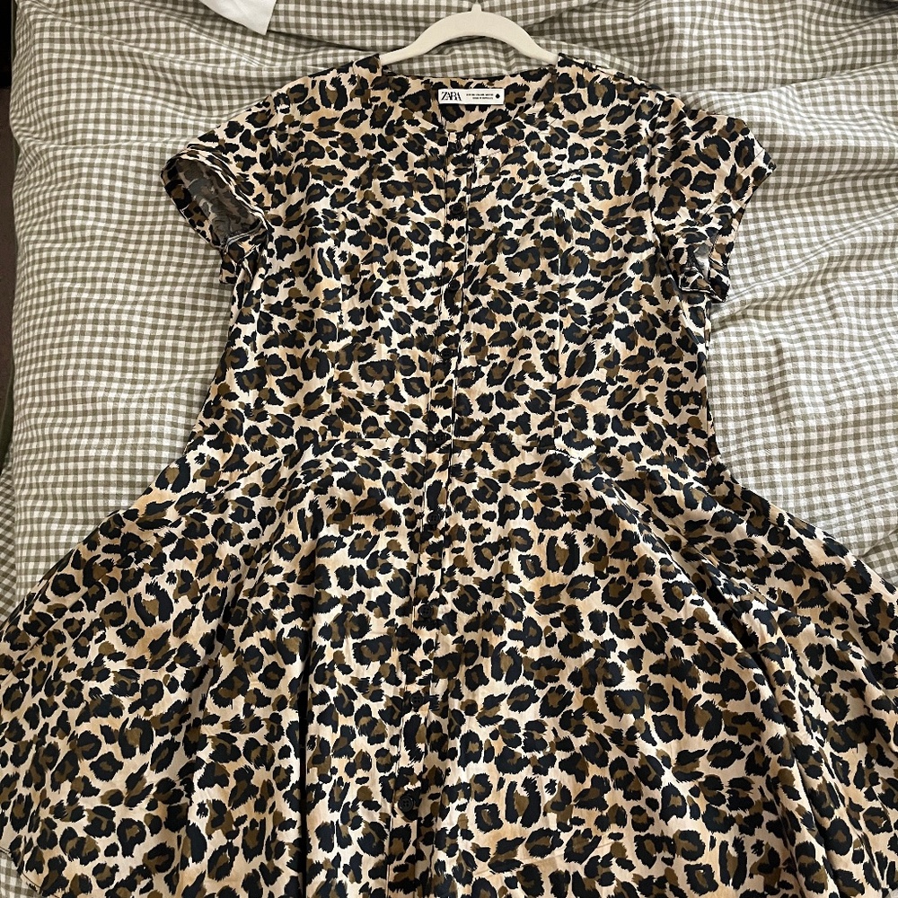 Zara Dress